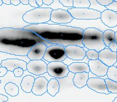 Spot Transfer - Image 2 Spot Transfer - Image 2