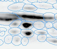 Spot Transfer - Image 3 Spot Transfer - Image 3